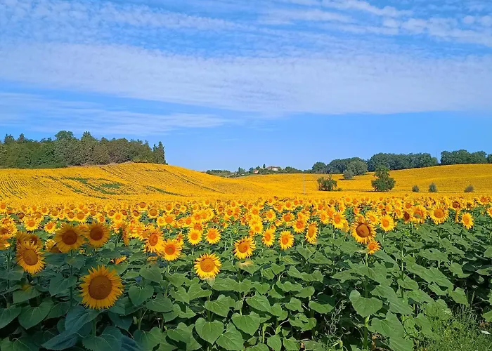 Righino Lägenhet Murlo